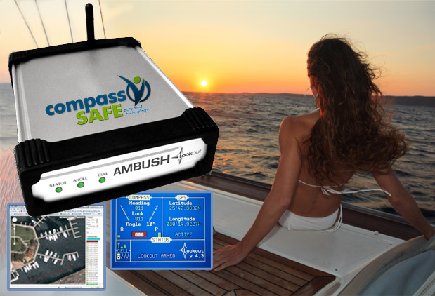 lookout ambush is on guard